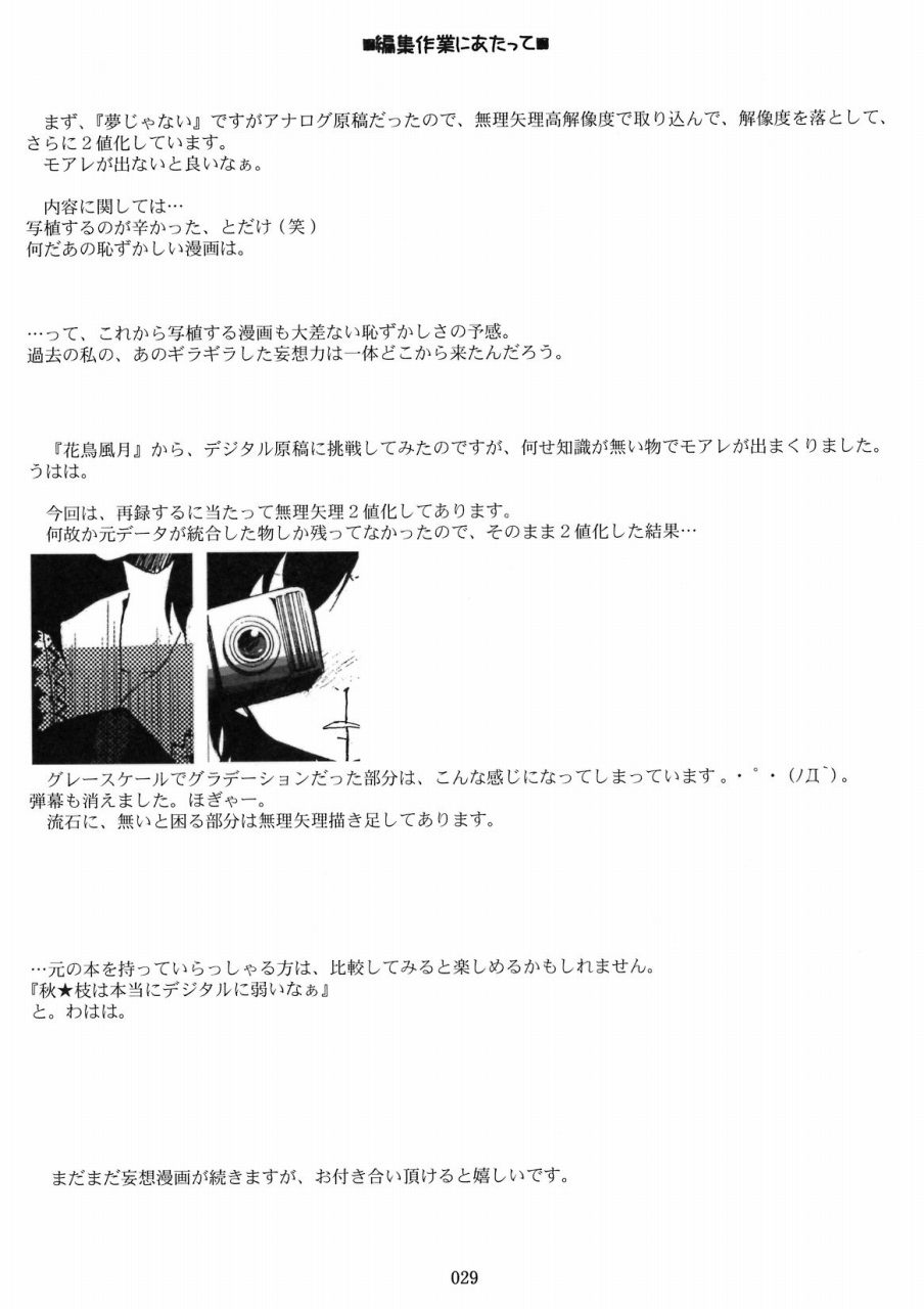 (Touhou)[Rocket Nenryou 21 (Akieda)] 初恋クレイジー(Touhou Doujinshi Compilation) （東方）[ロケット燃料☆21]初恋クレイジー（東方総集編）