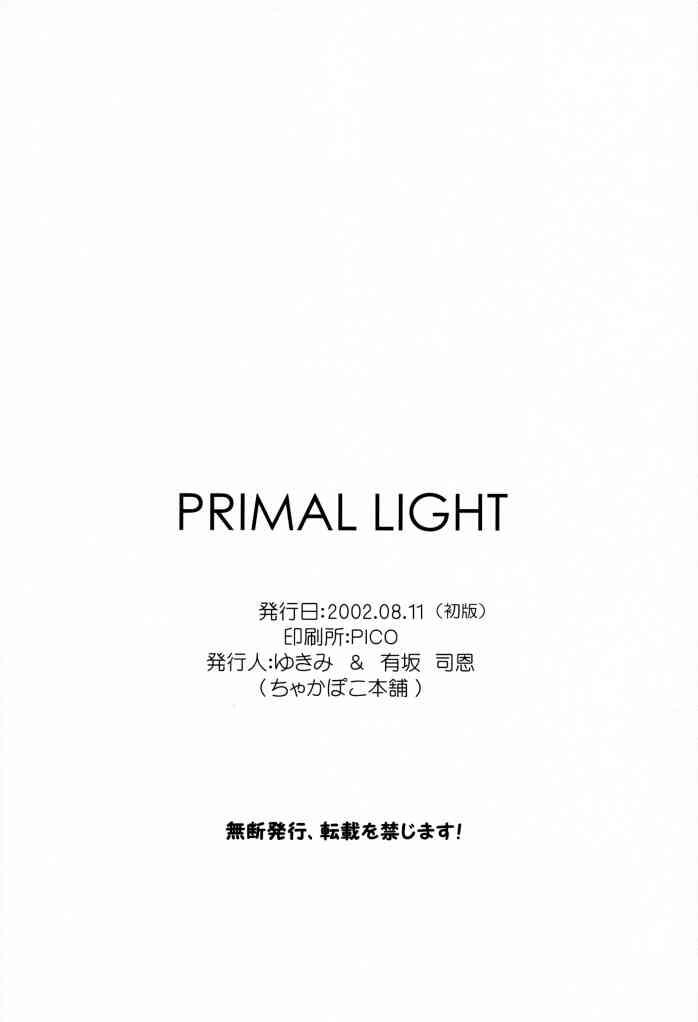 Primal Light 