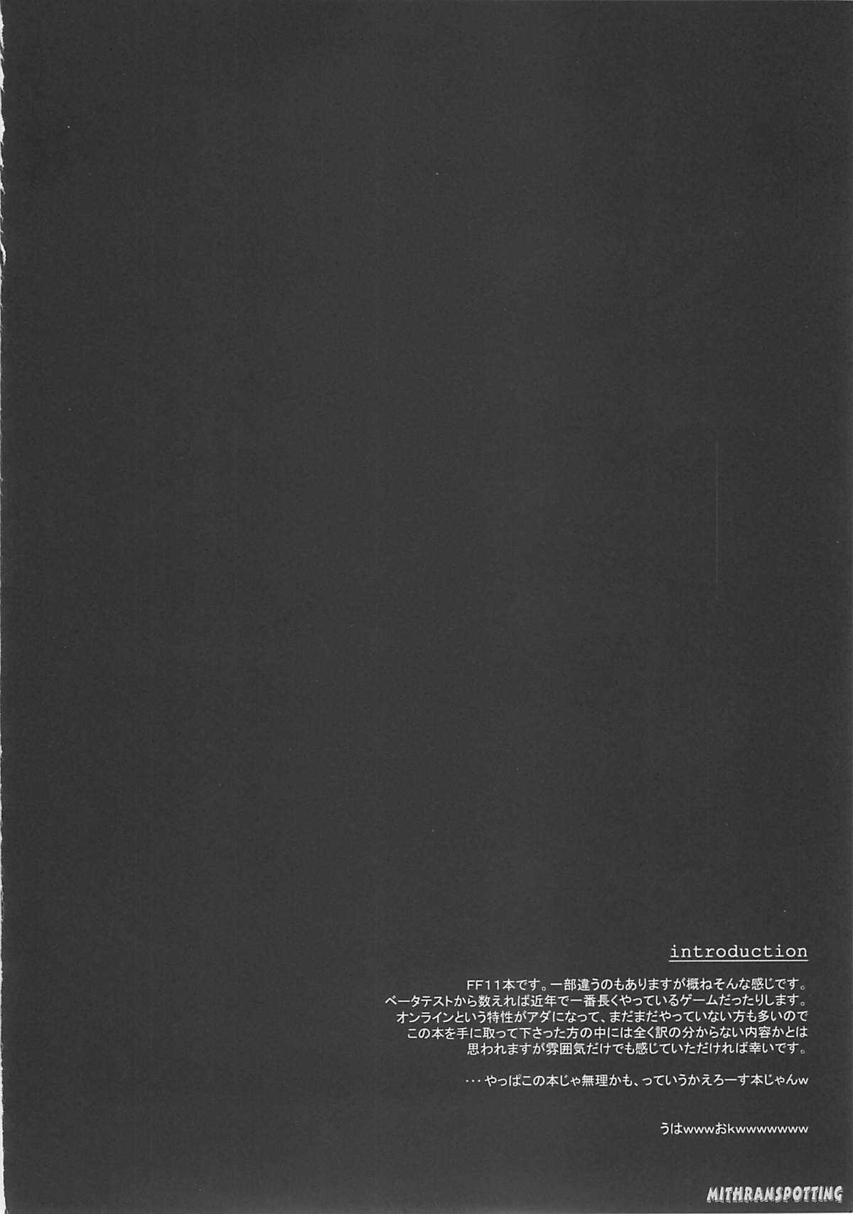 (C65) [PHANTOM CROSS (Miyagi Yasutomo)] Mithran Spotting (Final Fantasy XI) (C65) [ファントムクロス (宮城靖朋)] Mithran Spotting (ファイナルファンタジーXI)