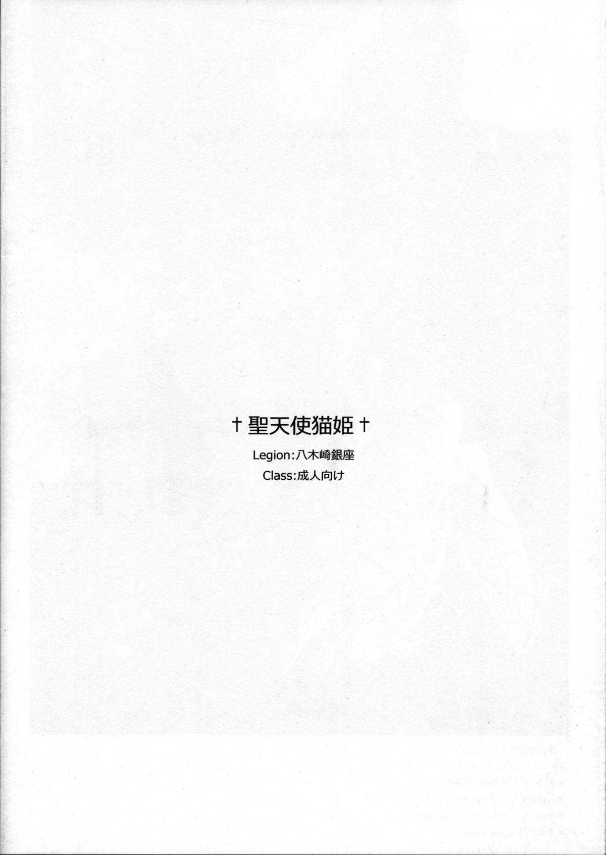 (COMIC1☆6) [Yagisaki Ginza (Yagami Shuuichi)] Seitenshi Nekohime (Accel world) (COMIC1☆6) [八木崎銀座 (八神秋一)] +聖天使猫姫+ (アクセル・ワールド)