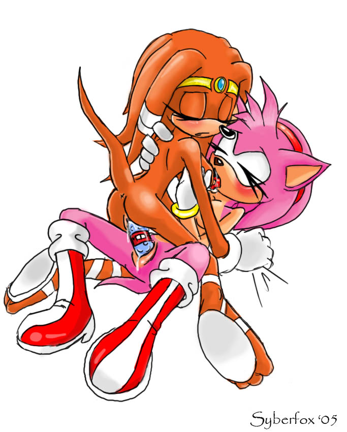 Sonic Two Girls 