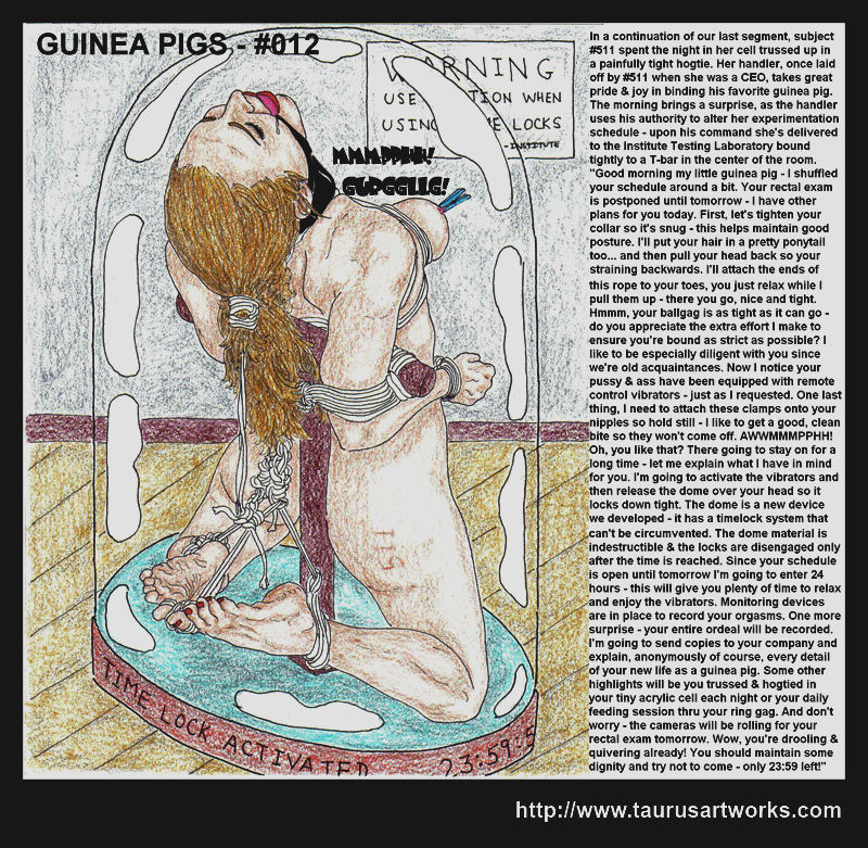 [taurusartworks]  GUINEA PIGS 